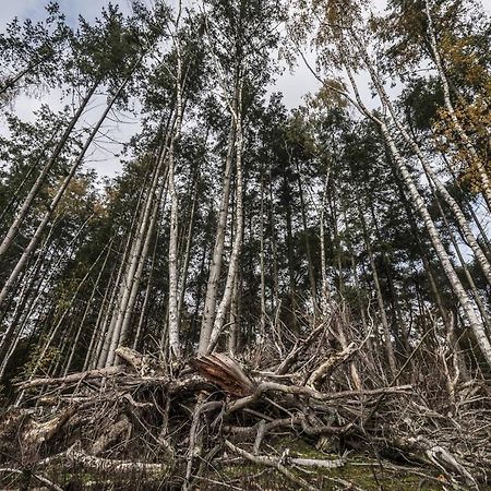 Veul Oe Thuus Hoeve Kroep An Vorden Esterno foto