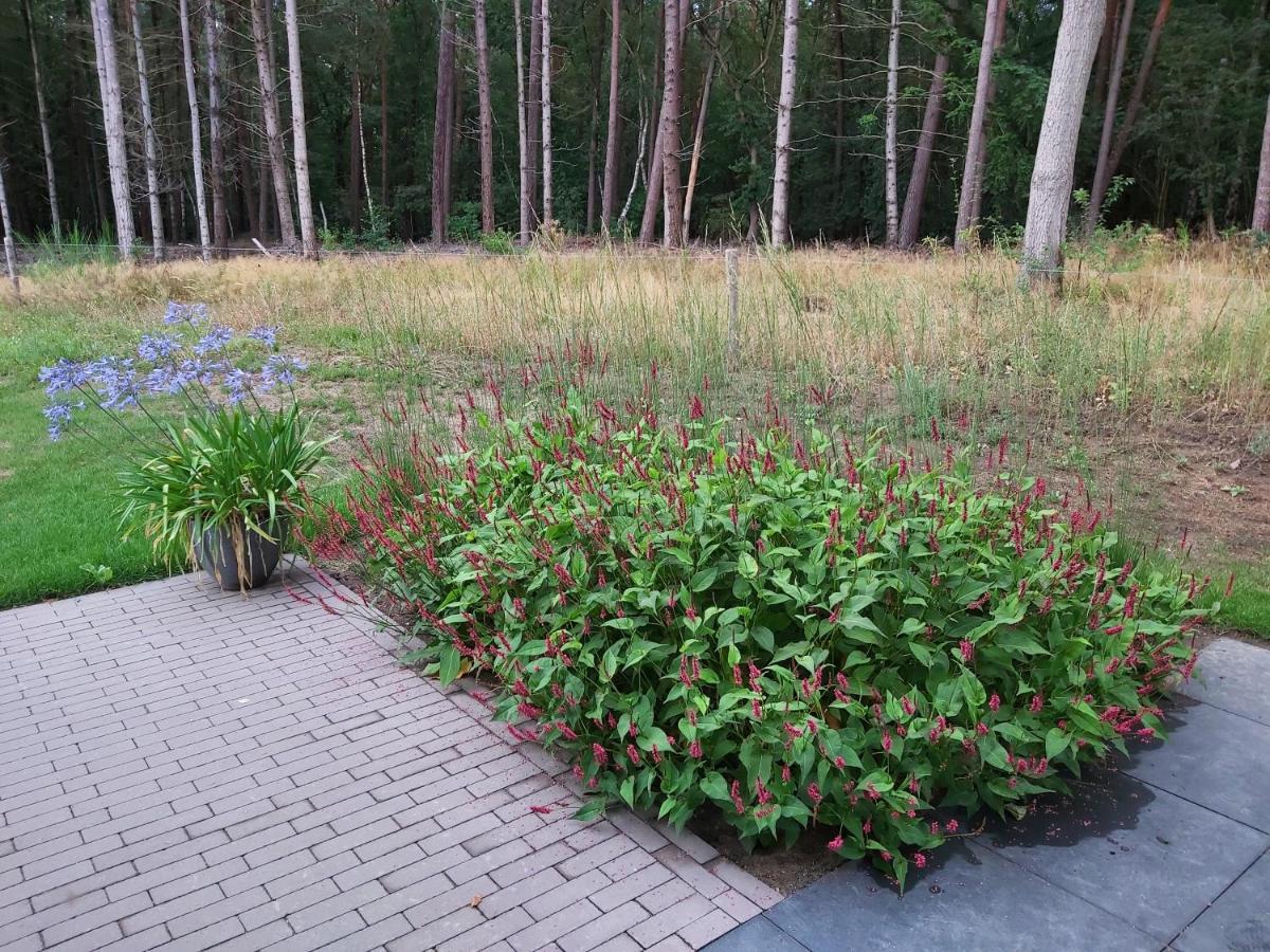 Veul Oe Thuus Hoeve Kroep An Vorden Esterno foto