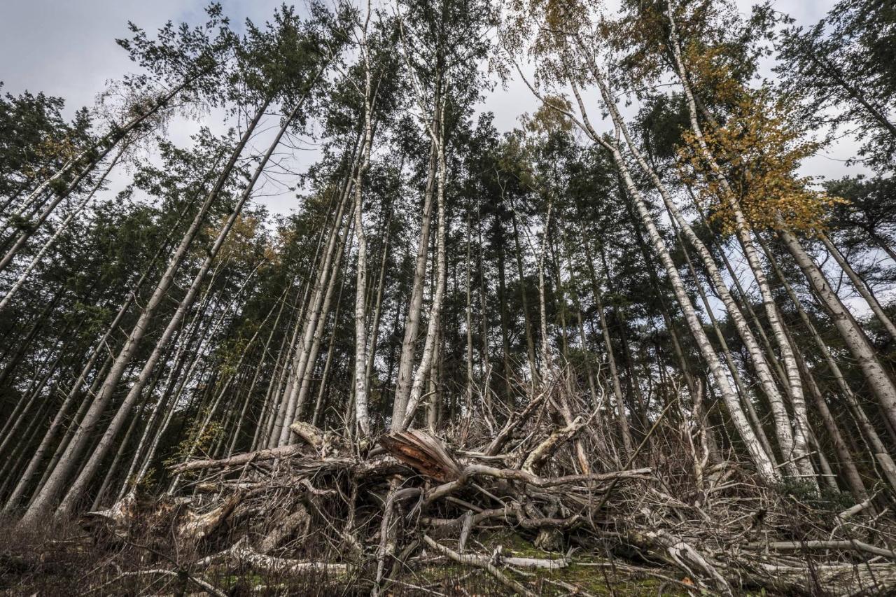 Veul Oe Thuus Hoeve Kroep An Vorden Esterno foto